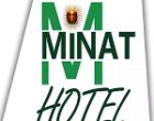 Minat Hotel Bahir Dar